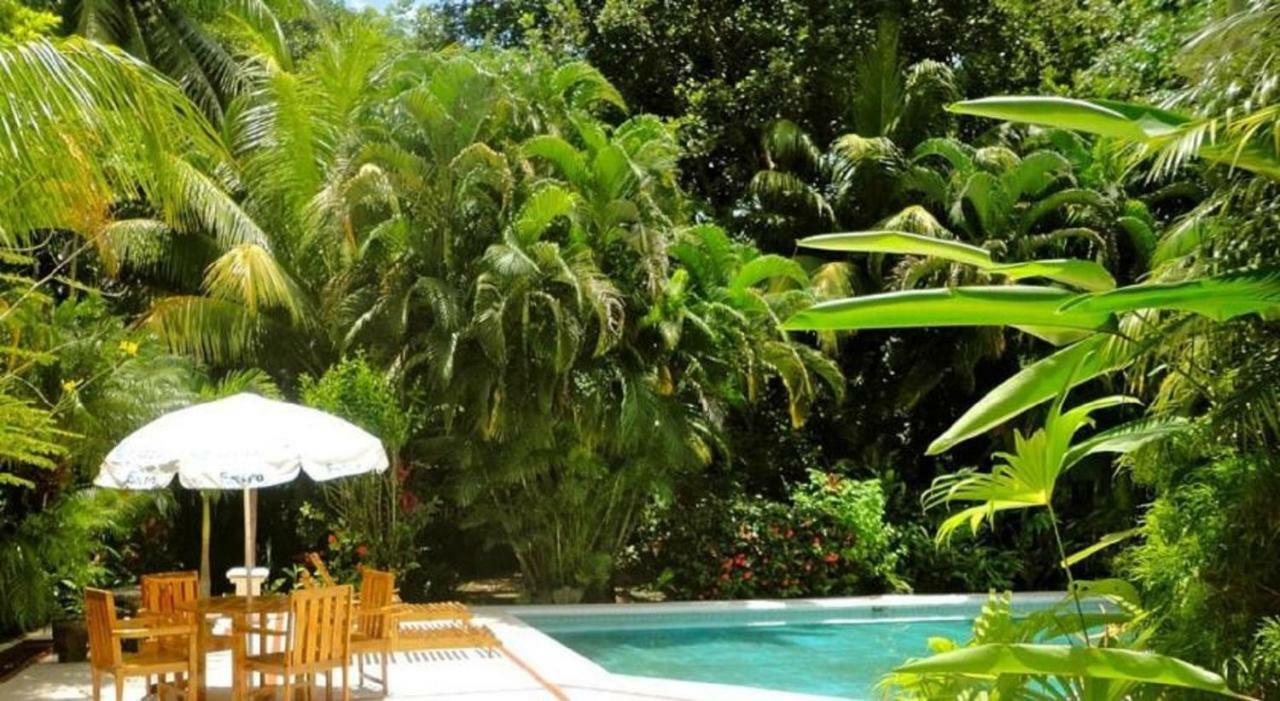Hotel Roca Verde Beachfront Puntarenas Bagian luar foto